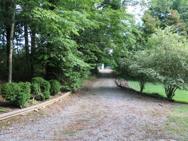 Land For Sale In Ararat Virgina Land for Sale in Ararat, Patrick