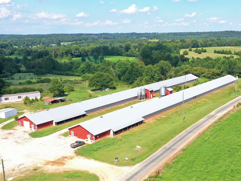 2 House Breeder Hen : Carnesville : Franklin County : Georgia