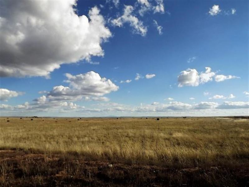 Moriarty New Mexico Residential : Moriarty : Torrance County : New Mexico