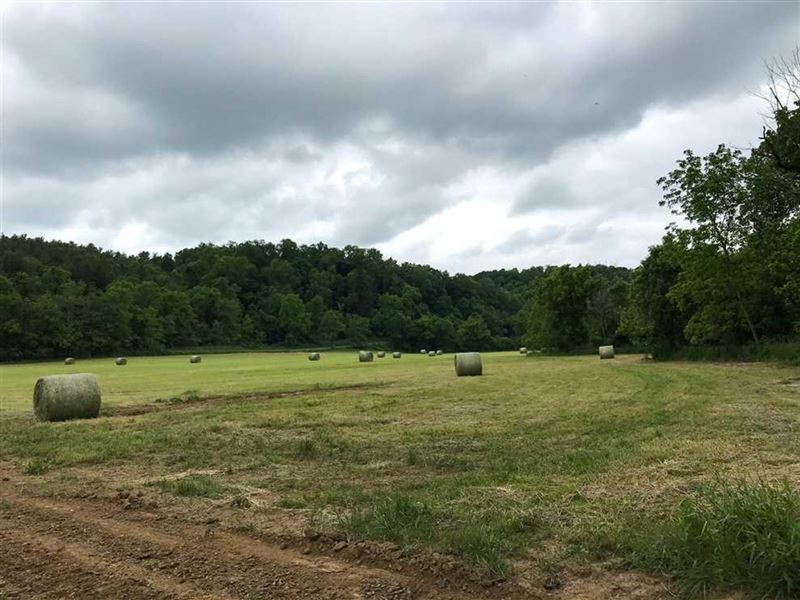 East Branch Rd, 40 Acres : Malta : Morgan County : Ohio