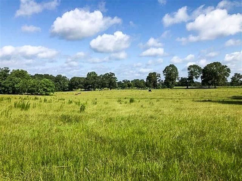 Beautiful Views, Homestead Spot : Amite City : Saint Helena Parish : Louisiana