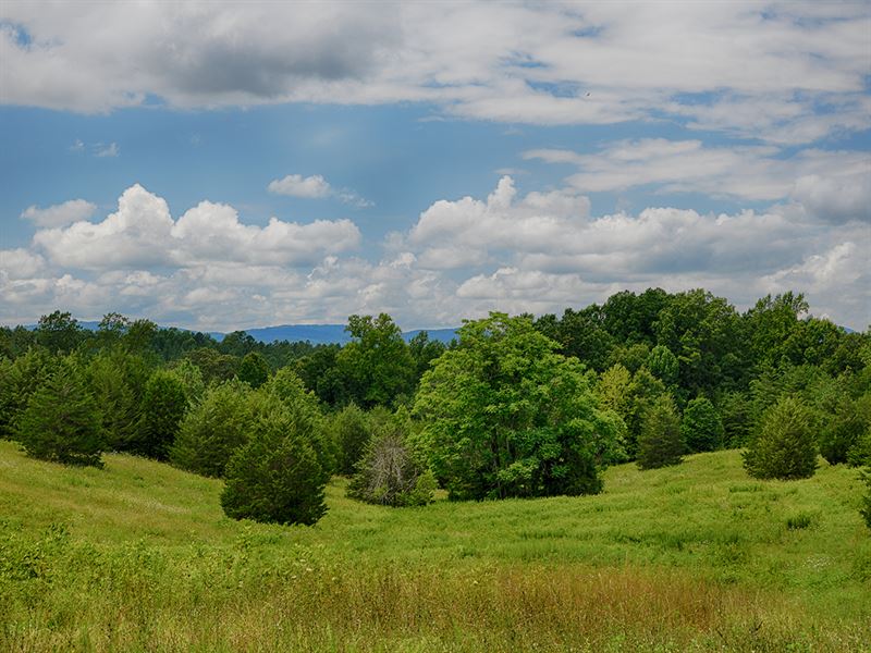 Beautiful Tract of Land : Scottsville : Albemarle County : Virginia