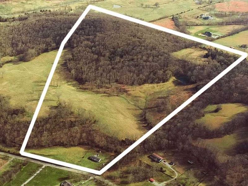 70 Acres with Lots of Potential : Franklin : Williamson County : Tennessee