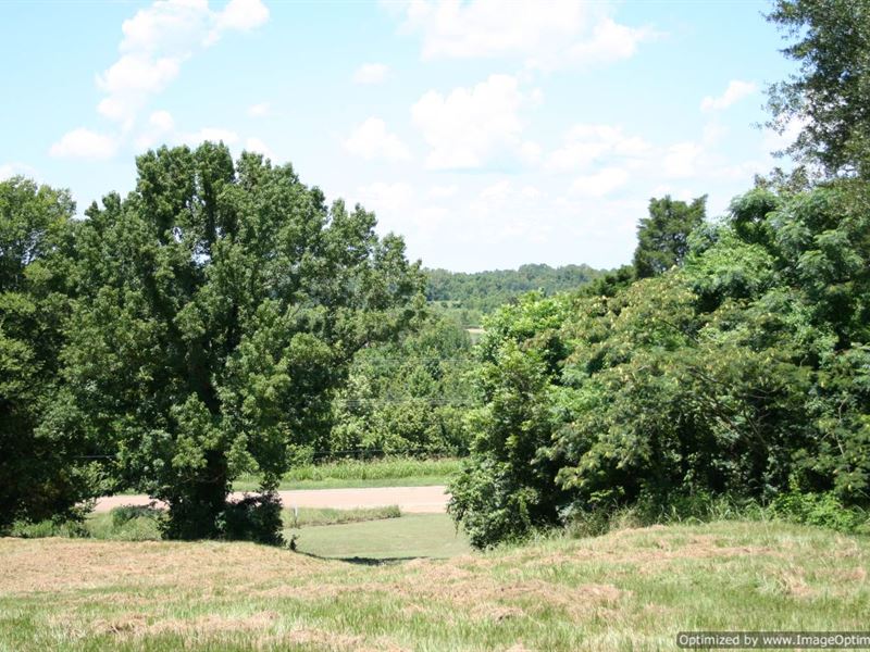 Beautiful Land, View of MS Delta : Yazoo City : Yazoo County : Mississippi