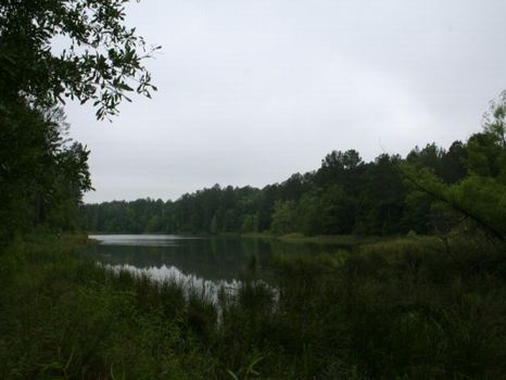 45ac Lk Russell Corps frntg/pasture : Elberton : Elbert County : Georgia