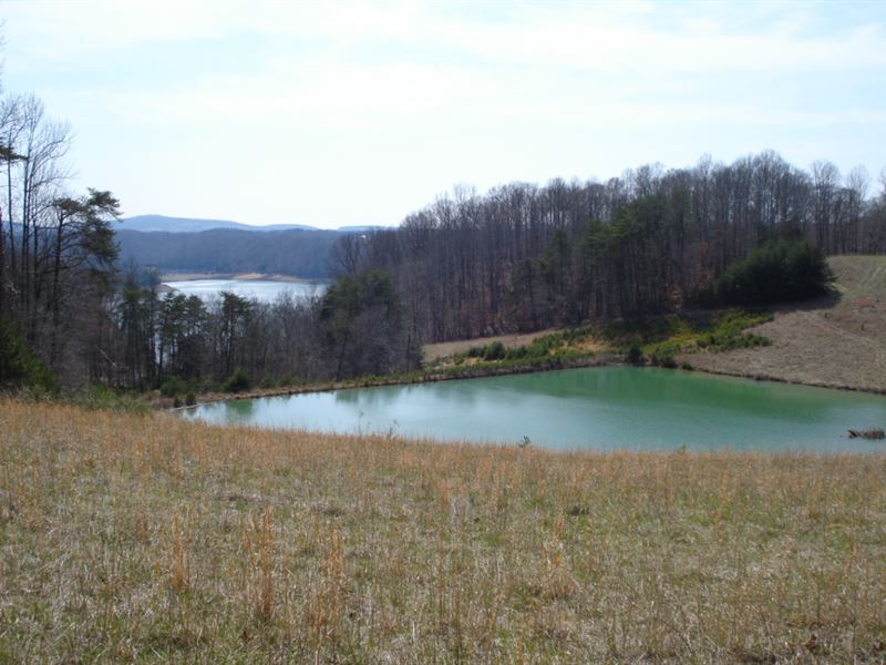 Land Lake Cumberland, Albany, KY Land for Sale in Albany, Clinton