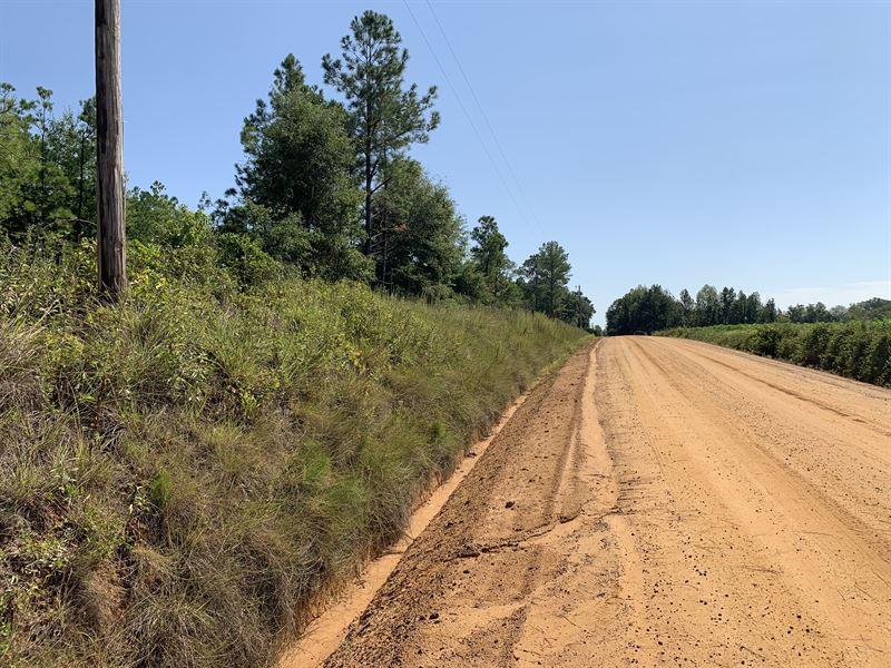 Owner Financed Acreage Land for Sale by Owner in Metter, Candler
