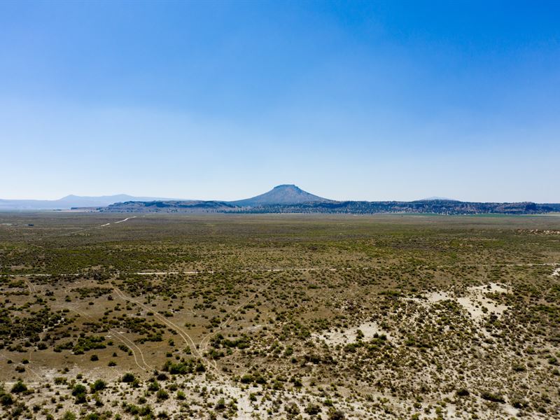 10 Acres Right Off Christmas Valley : Silver Lake : Lake County : Oregon