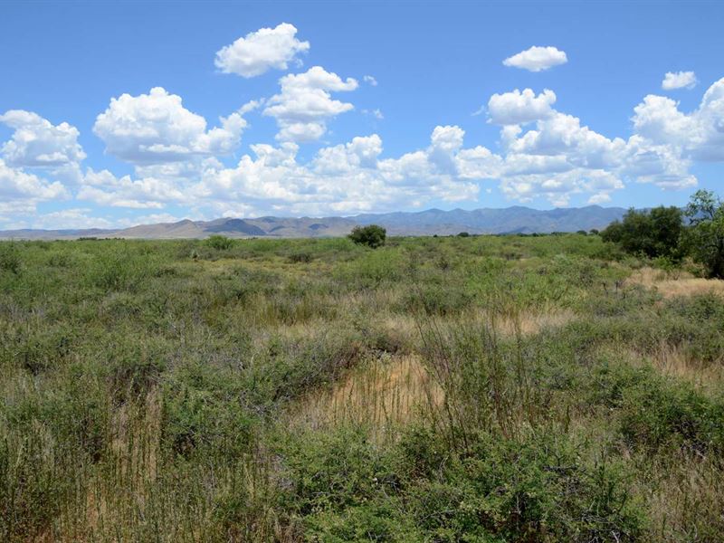 Turkey Creek, Med Cann Appr, $225/M : Sunizona : Cochise County : Arizona