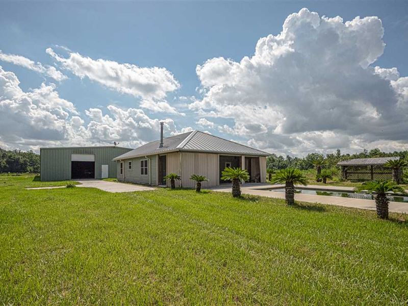 Limestone Cattle Ranch Cattle Inc : Monticello : Jefferson County : Florida