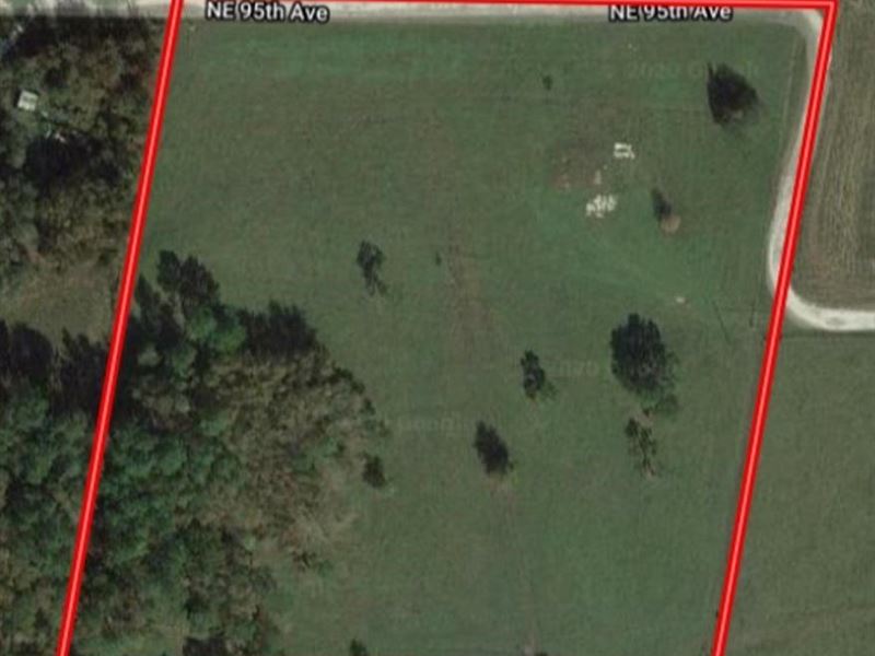 10 Acres Farmland in Alachua County : Waldo : Alachua County : Florida