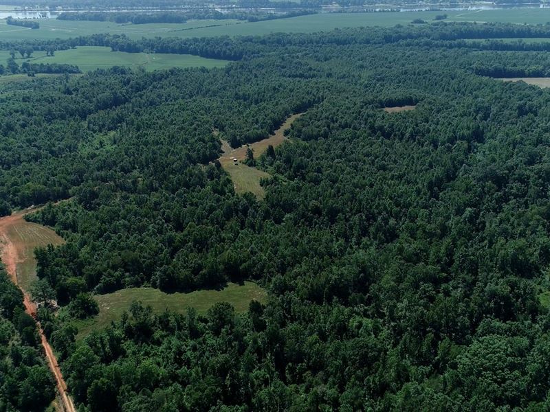 Acreage Land In Hardin County : Morris Chapel : Hardin County : Tennessee