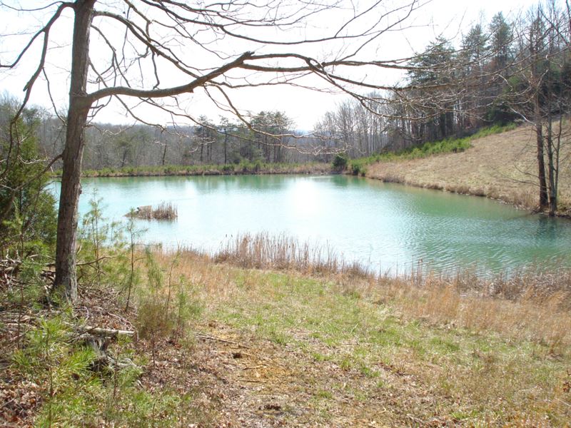 1 Acres Lots Lake Cumberland : Albany : Clinton County : Kentucky