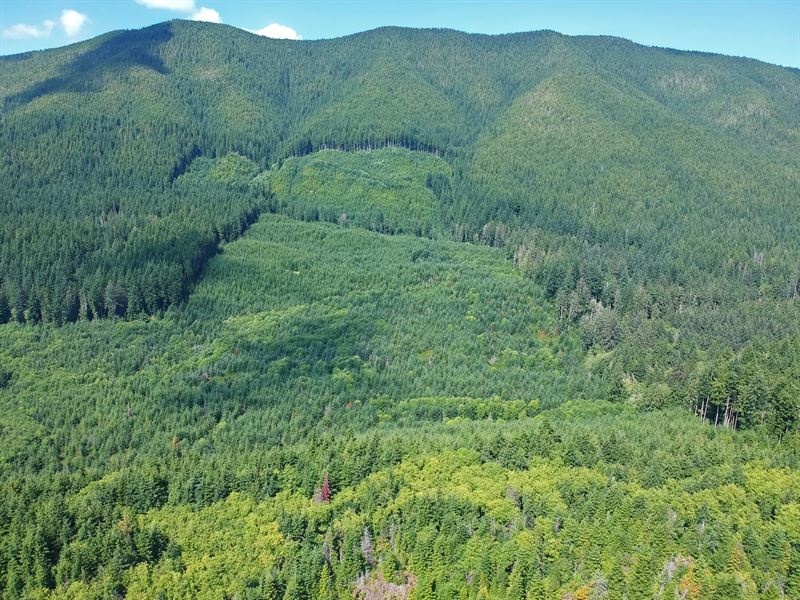 Snider Creek : Port Angeles : Clallam County : Washington