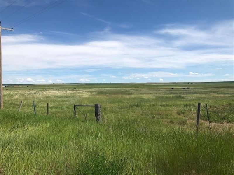 Montana Land Near Conrad, MT, Land for Sale in Montana, 250714 LANDFLIP