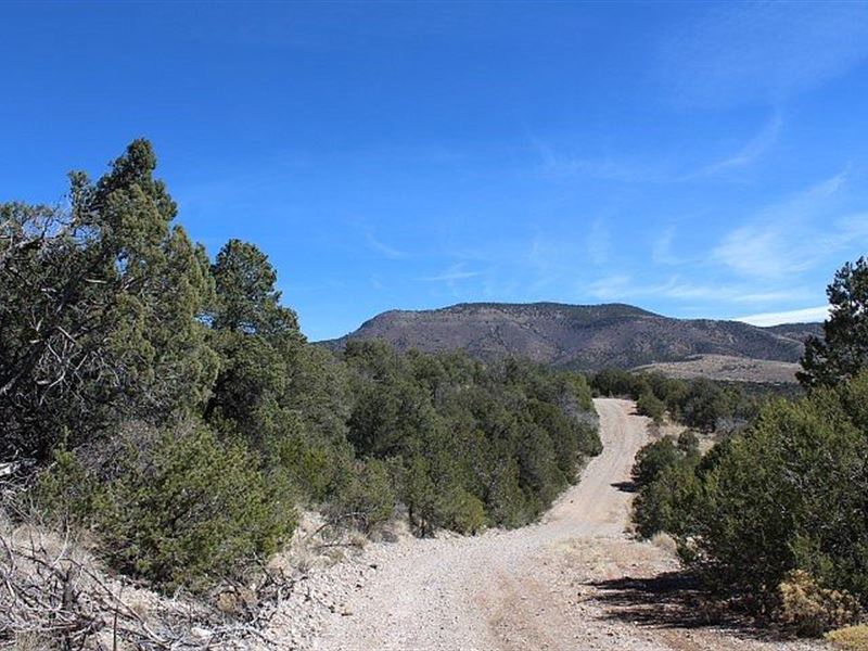 Discover The Beauty of The America : Cloudcroft : Otero County : New Mexico