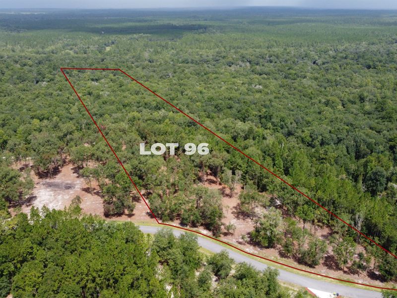 Lot 96- Deep Creek : Bryceville : Nassau County : Florida