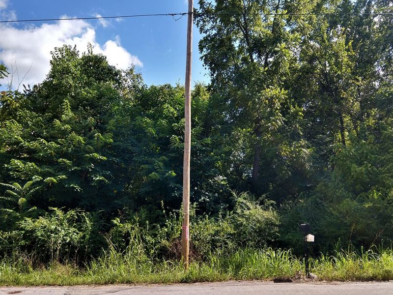 Bull Shoals Lake Lot in Arkansas : Bull Shoals : Marion County : Arkansas