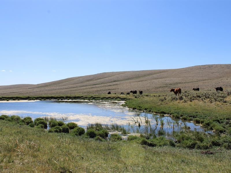 Wiser Rangeland : Lander : Fremont County : Wyoming