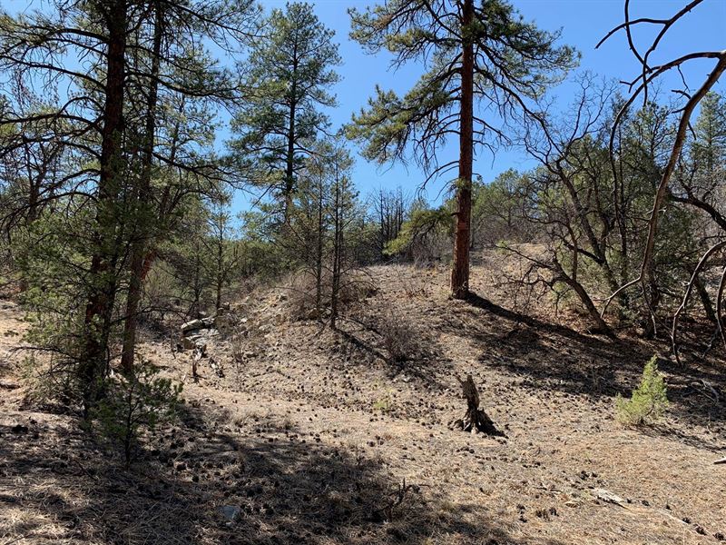 36+ Acres in Cotopaxi,Co : Cotopaxi : Fremont County : Colorado