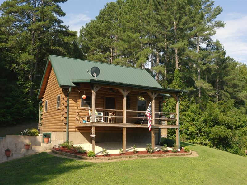 Log Cabin 32 Acres East Tennessee Land for Sale in Mosheim, Greene
