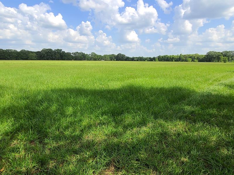 Pasture Land River in Columbia LA : Columbia : Caldwell Parish : Louisiana