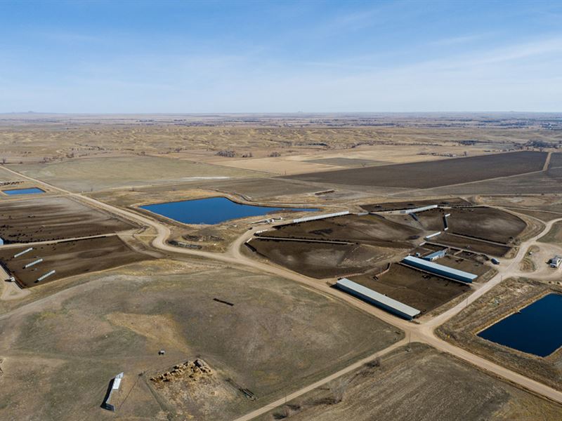 Five F Feeders : Belle Fourche : Butte County : South Dakota