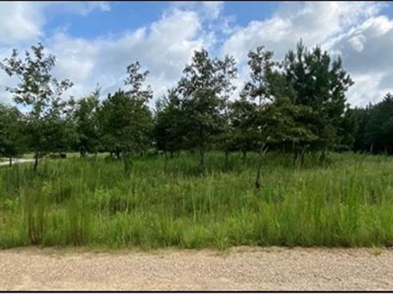 2.35 Acres in Lincoln County in Bog : Bogue Chitto : Lincoln County : Mississippi
