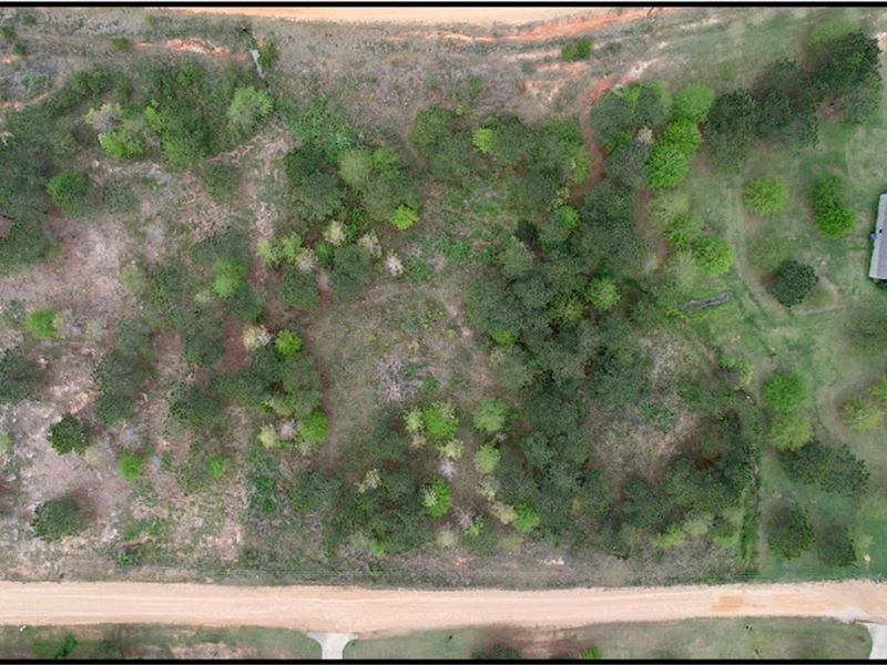 2 Acre Lot in Lincoln County in Bog : Bogue Chitto : Lincoln County : Mississippi