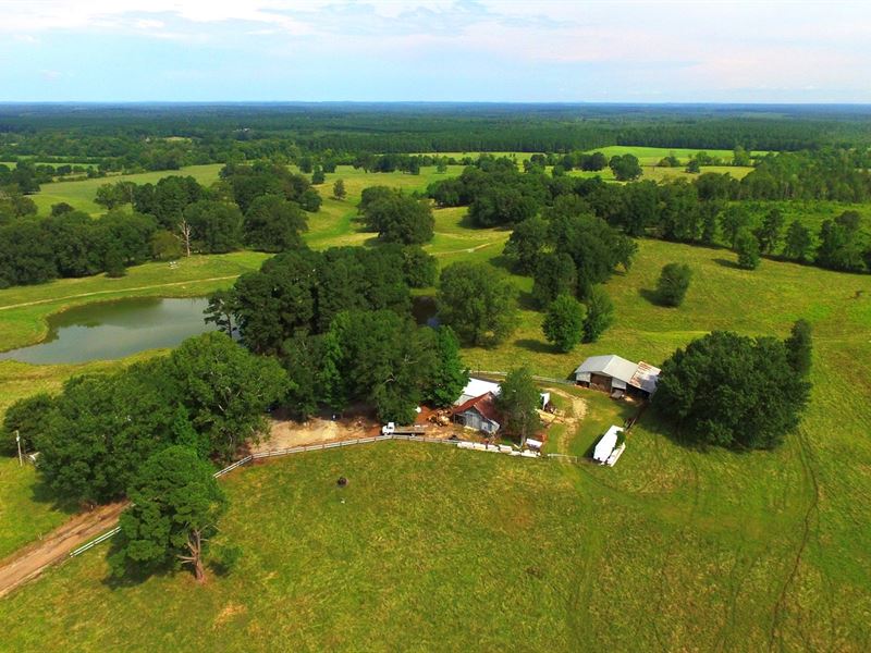 Cattle Farm Clark County, Arkansas : Okolona : Clark County : Arkansas