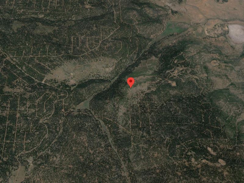 .94 Acre Parcel in California Pines : California Pines : Modoc County : California