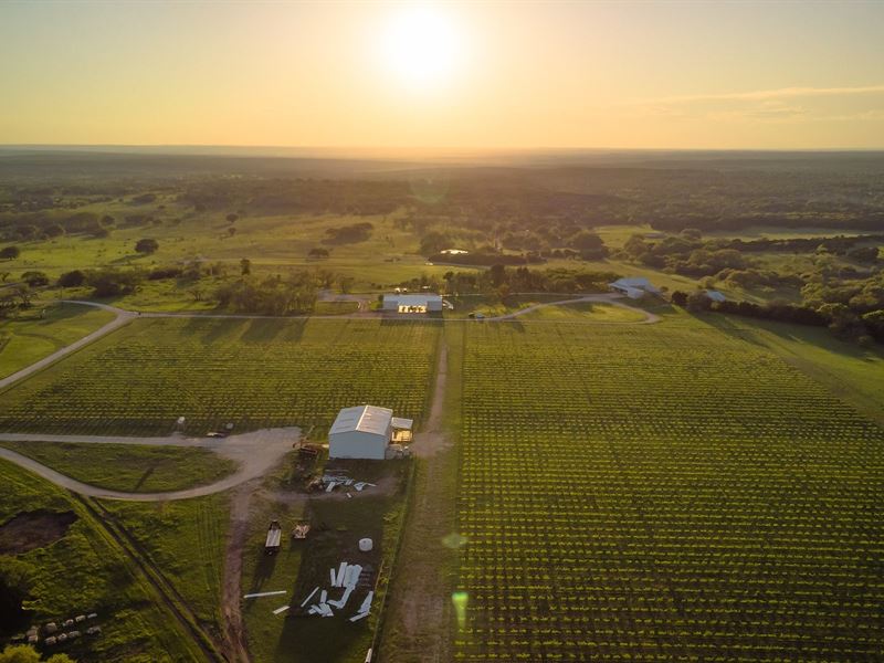Hill Country Winery & Vineyard 150 Land for Sale in Lometa, Lampasas