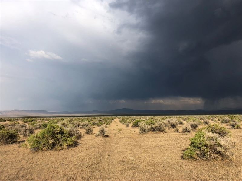 Nevada Ranch Farm Recreational Land : Gerlach : Washoe County : Nevada
