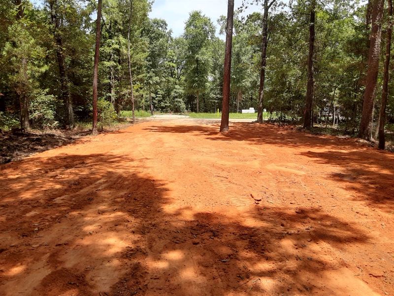 Premium Sized, RV & Mobile Ready : Livingston : Polk County : Texas