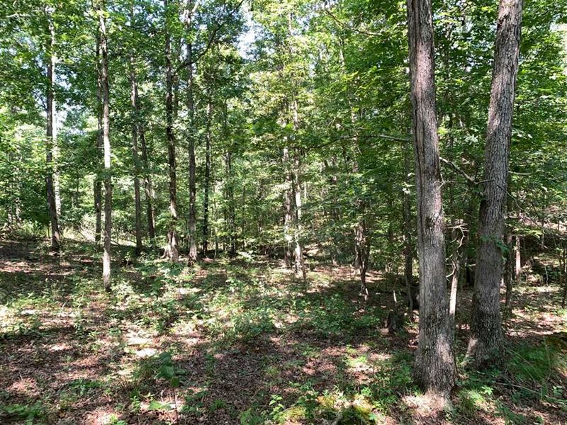 13 Acres of Seclusion in Stewart : Indian Mound : Stewart County : Tennessee