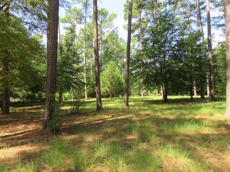 30 + Acres Anderson County Hunting : Palestine : Anderson County : Texas
