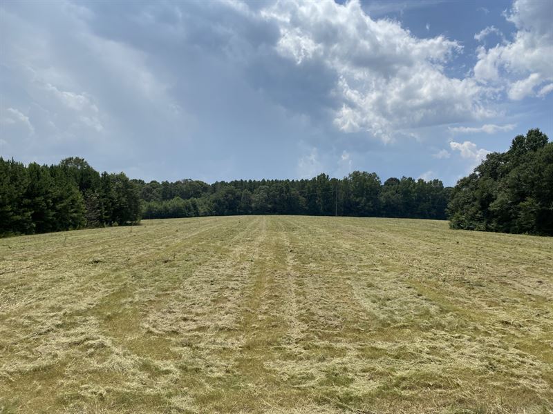 Beautiful Farm in Bowdon GA : Bowdon : Carroll County : Georgia