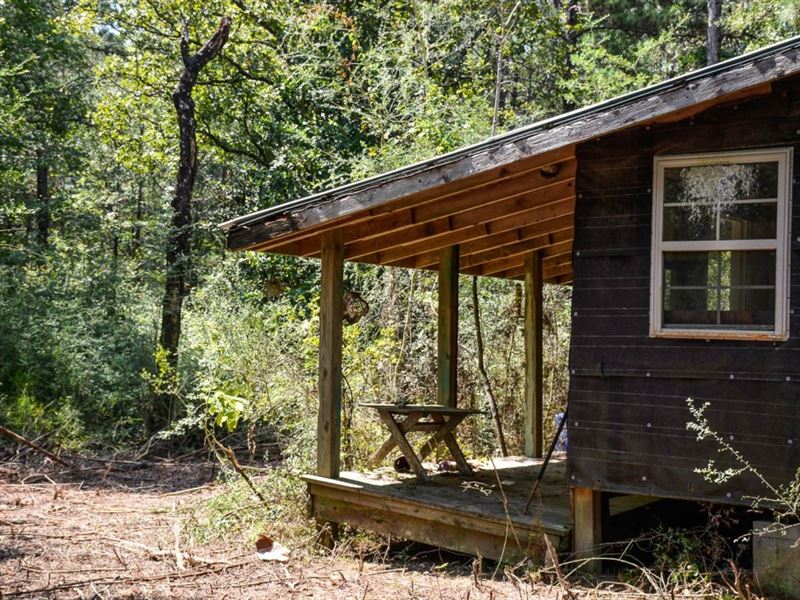 Cabin, Owner Fi, Mobile Ok, 4.66 Ac : Amite : Tangipahoa Parish : Louisiana