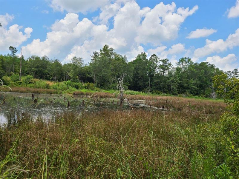 Waller Road Tract Land for Sale in Minter, Lowndes County, Alabama