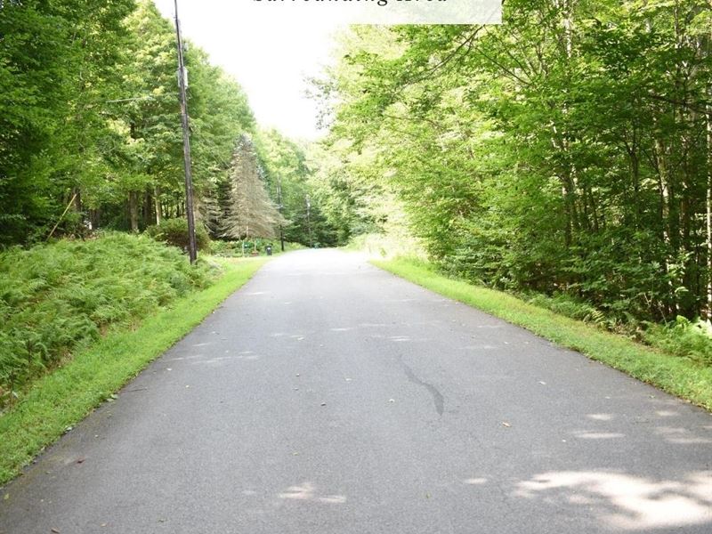 1.12 Acres Only 1Dn, 299/Mo Land for Sale by Owner in Pocono Lake