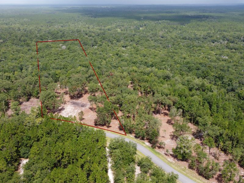 Lot 97 Deep Creek : Bryceville : Nassau County : Florida