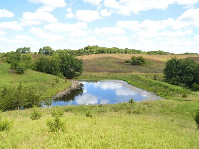 Schuyler County MO Tillable Row Land for Sale in Queen City, Schuyler