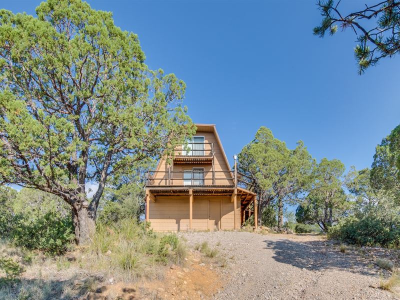 Hunting Cabins Timberon New Mexico, Land for Sale in New Mexico