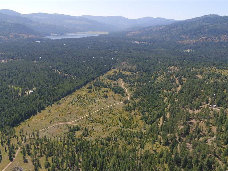 20 Acres Beautiful Coeur d' Alene Land for Sale in Rathdrum, Kootenai
