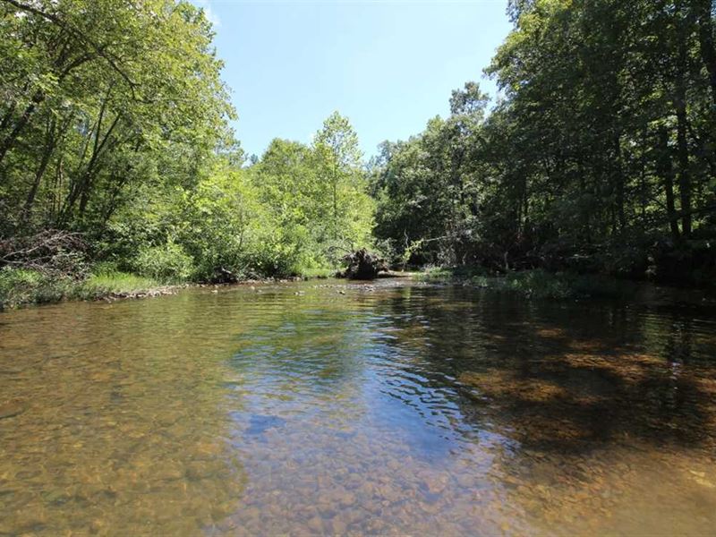 160 Acres for Sale in Doniphan, MI : Doniphan : Ripley County : Missouri