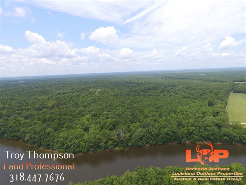 320 Acres Catahoula, Crp Income : Jonesville : Catahoula Parish : Louisiana