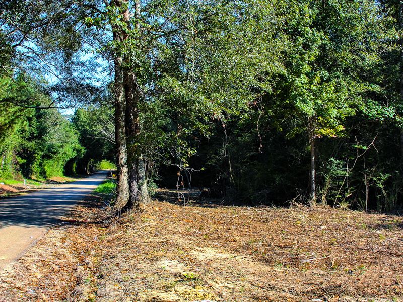 1.3 Acres Vacant Land in Roseland : Roseland : Tangipahoa Parish : Louisiana