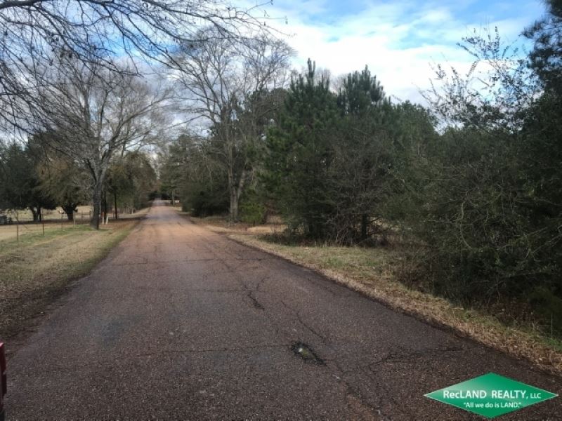 10.2 Ac, Wooded Home Site Tract NE : Point : Union Parish : Louisiana