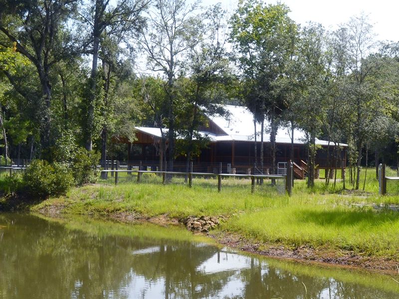 Tiger Island Retreat : Chiefland : Levy County : Florida