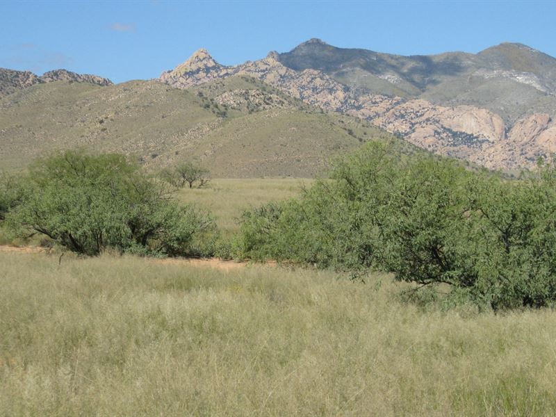 Ready to Go Off-Grid : Pearce : Cochise County : Arizona